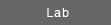 Lab